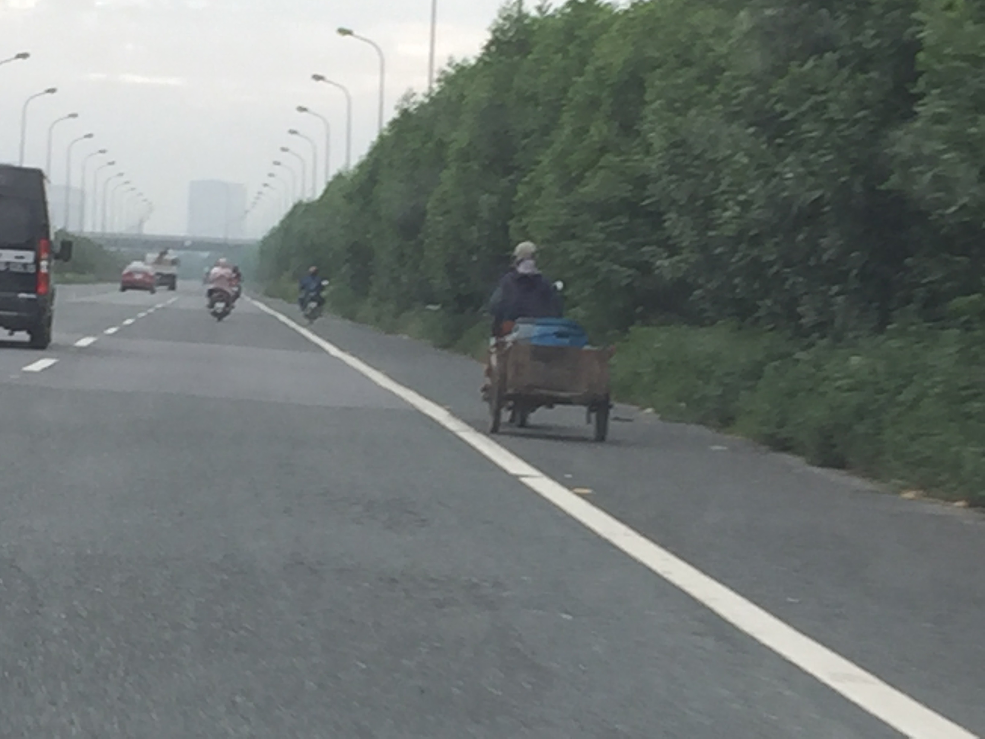 Thông tin từ đường dây nóng